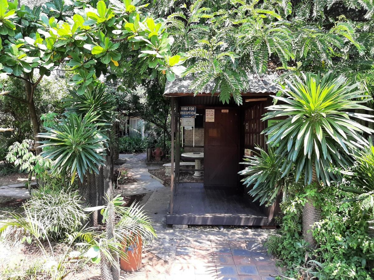Elephant Walk Guesthouse And Back Packers Phalaborwa Buitenkant foto
