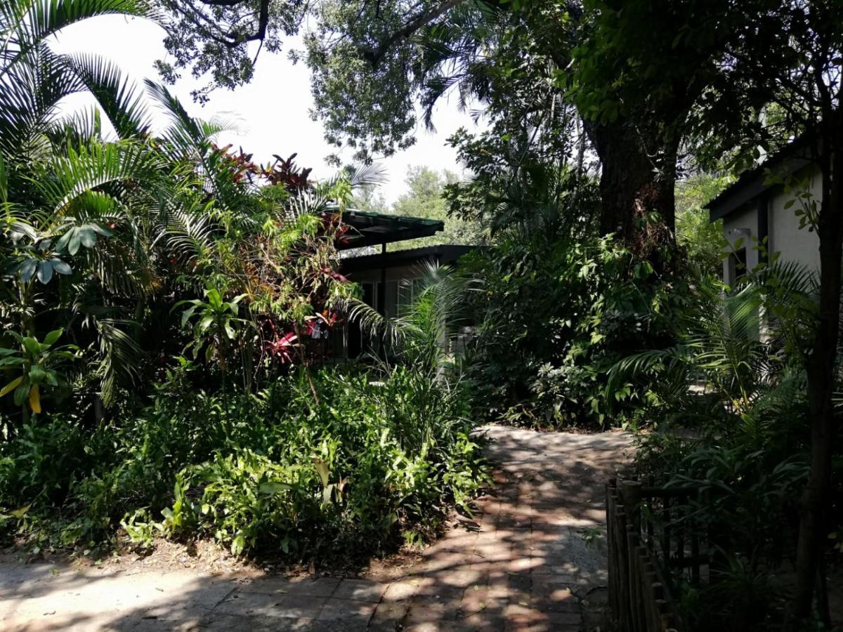 Elephant Walk Guesthouse And Back Packers Phalaborwa Buitenkant foto